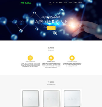 大連安玖安防技術(shù)有限公司