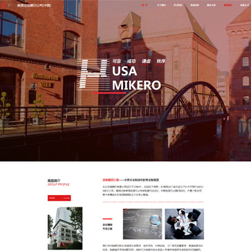 美國邁克帕特集團