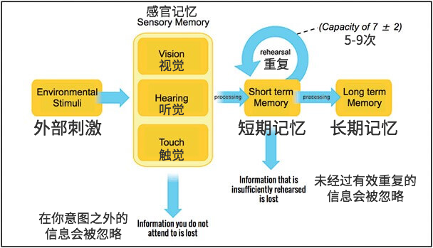 記憶的工作原理與設(shè)計(jì)訣竅