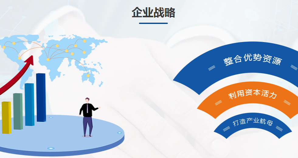 企業(yè)戰(zhàn)略 企業(yè)戰(zhàn)略