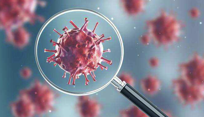 2020年疫情來了，企業(yè)應(yīng)重視網(wǎng)站建設(shè)工作